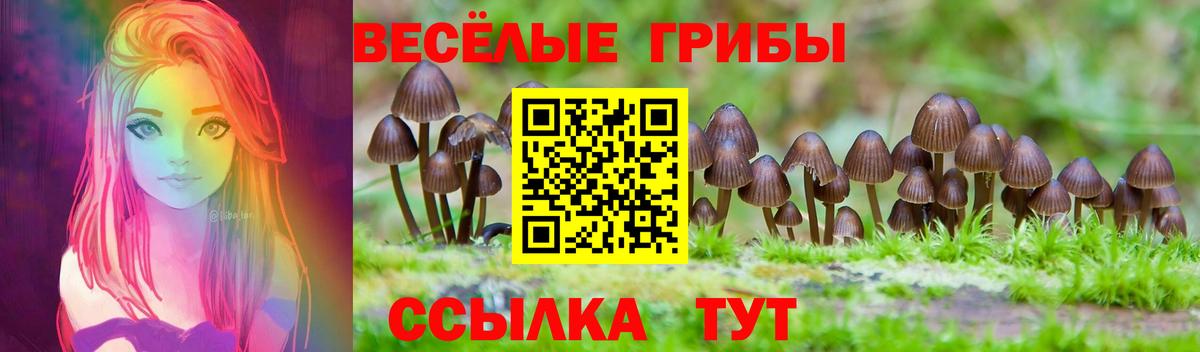 Якутск  Псилоцибиновые грибы прущие грибы  Галлюциногенные грибы GOLDEN TEACHER  Вход с VPN 